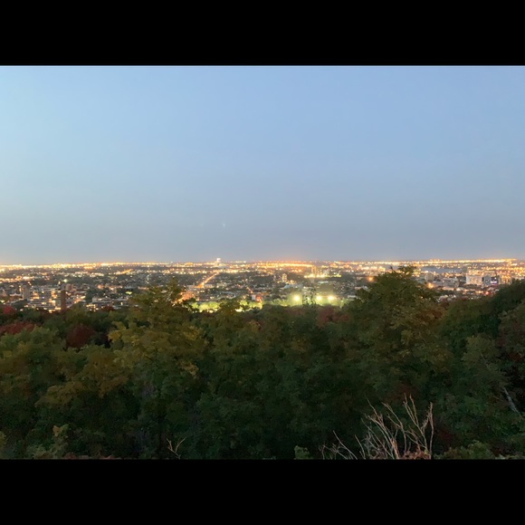 Meet your Posher, Anne - Picture 1 of 1